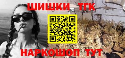 гашик Будённовск