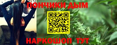 гашик Будённовск