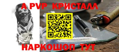 гашик Будённовск