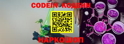 гашик Будённовск