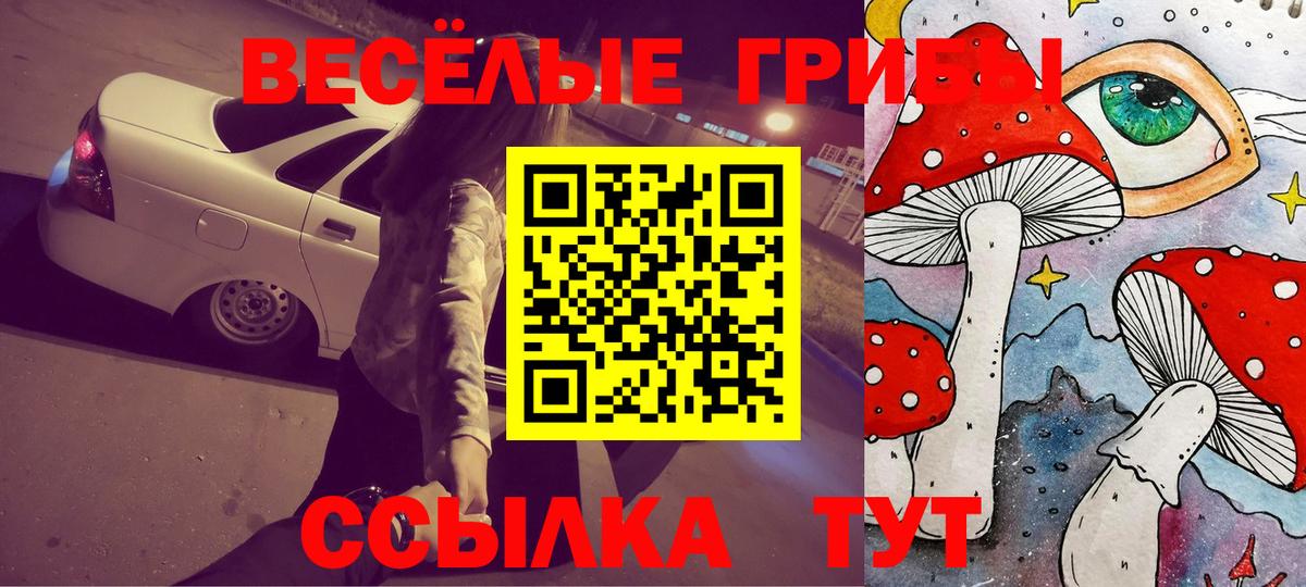 Ухта  Псилоцибиновые грибы Cubensis  Вход с VPN 